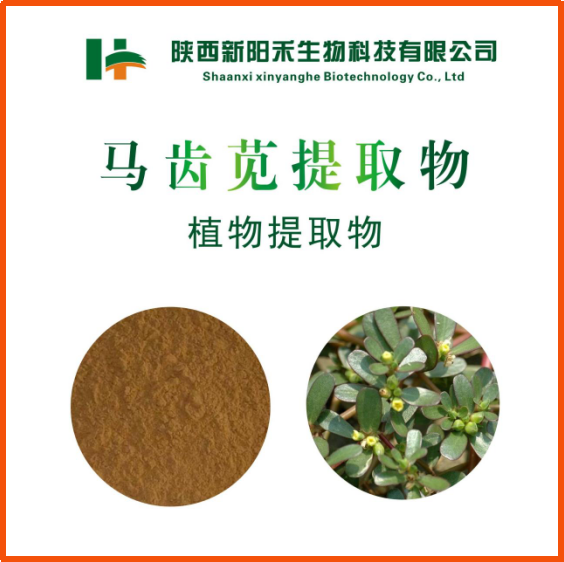 马齿苋提取物