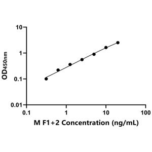 F1+2 ELISA KIT / 小鼠凝血酶原片段F1+2 ELISA试剂盒