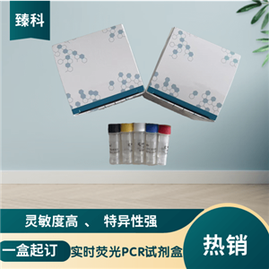 牛病毒性腹泻核酸检测试剂盒（荧光PCR法）