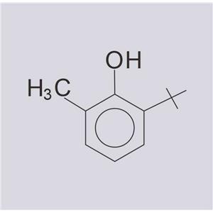 6-叔丁基邻甲酚