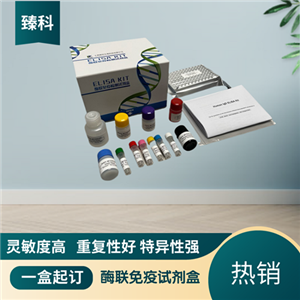 大鼠血清素/血清胺(ST）ELISA试剂盒