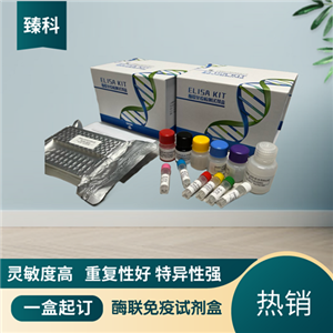 大鼠超氧化物歧化酶(SOD）ELISA试剂盒