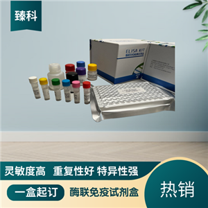 大鼠游离甲状腺素(FT4）ELISA试剂盒