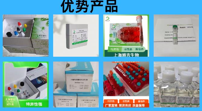 QQ图片20251119134721.png QQ图片20251119134721.png