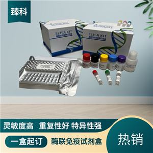 大鼠组织胺(Histamine）ELISA试剂盒