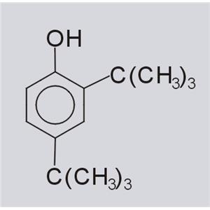 2,4-二叔丁基酚;2,4-二叔丁基苯酚;
