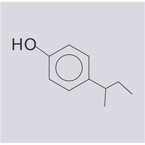 对仲丁基苯酚；4-仲丁基苯酚；对仲丁基酚