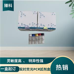 禽流感病毒H3亚型(AIV-H3)核酸试剂盒（荧光PCR法）