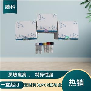 甲型流感病毒H9亚型(IAV-H9)核酸试剂盒