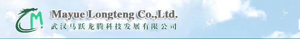 Wuhan Mayue Longteng Technology Development Co., Ltd.