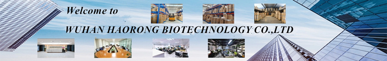 Wuhan Haorong Biotechnology Co.,Ltd