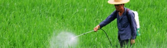 Chemische Rohstoffe für Pestizide