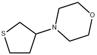 4-tetrahydrothiophen-3-yl-Morpholine Structure