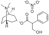 3-(3-Hydroxy-1-oxo-2-phenylpropo-xy)-8,8-dimethyl-8-azoniabicyclo-(3.2.1)octan-nitrat, endo-(+-)-