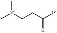 dimethylpropiothetin Structure