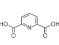 2,6-Pyridinedicarboxylic acid