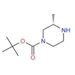 (S)-4-N-Boc-2-methylpiperazine pictures
