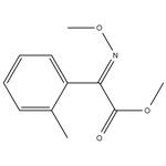Methyl 2-(MethoxyiMino)-2-o-tolylacetate pictures