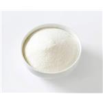 Cefoperazone sodium powder pictures